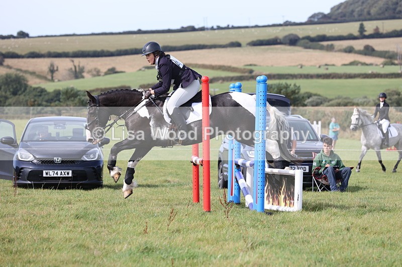 JPP_8604 - Class 2: Trekenning: 80cm Showjumping