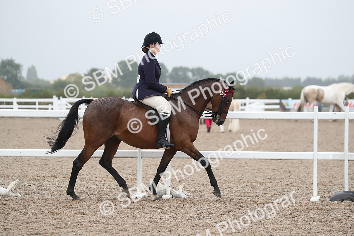 SBM_21568 - Class 602 - 2025 Area - Ridden Veteran