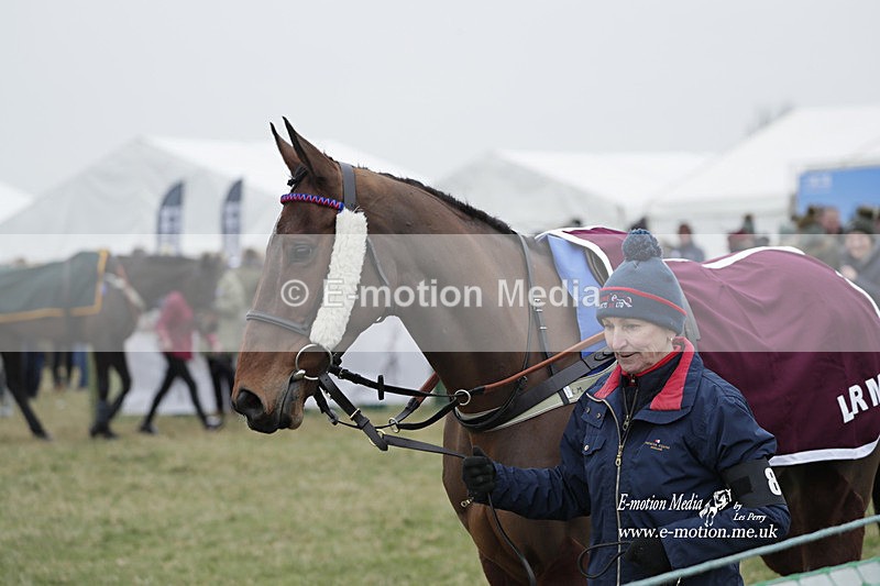 PtP 040323 626 - Duke of Beauforts Hunt Point-to-Point Didmarton 04/03/23