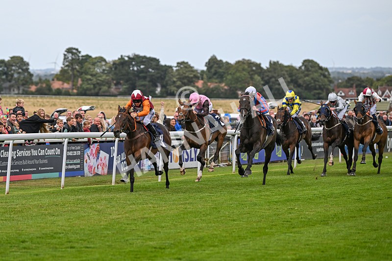 250824-Race 5-Lincoln Rockstar-3658 - Race 5