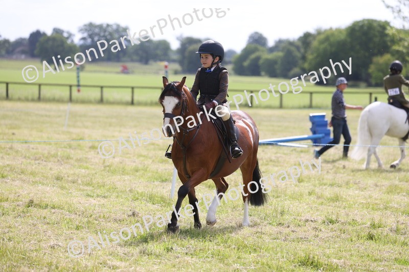 20260614-0500 - Class 20 - Beginners Working Hunter Pony