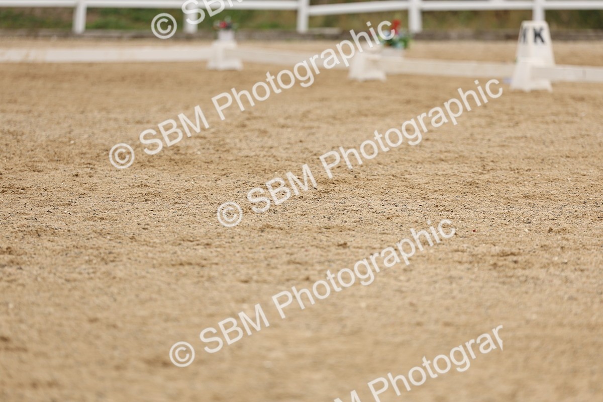 SBM_01601 - Class 9 - Novice 27 Champs