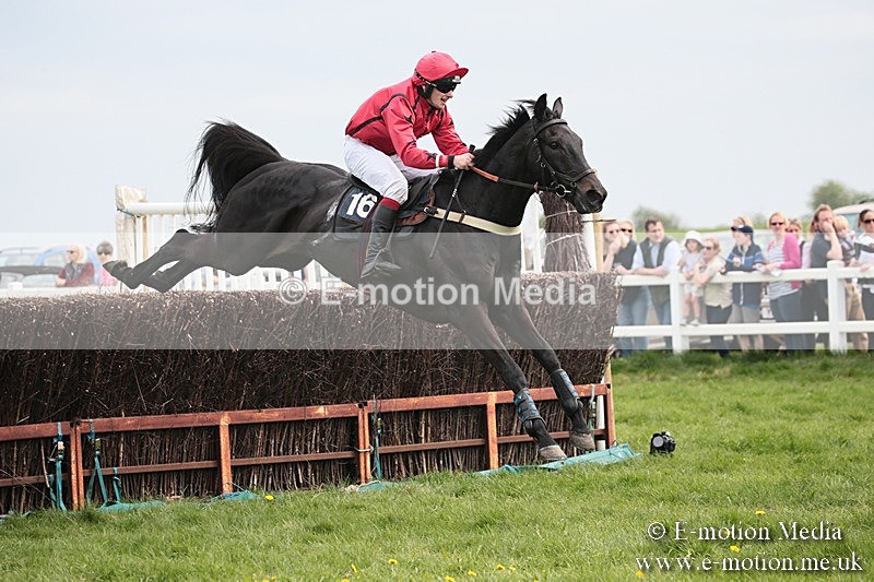 PtP 210418 220 - South & West Wilts Point-to-Point Larkhill 21/04/18