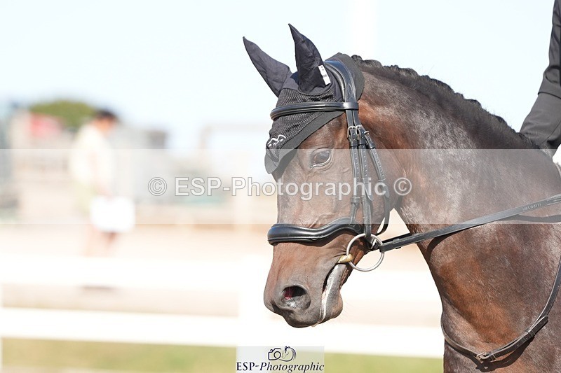 250817-164237-11937 - 210-Zoe.SmartBroadtown.King.Fisher