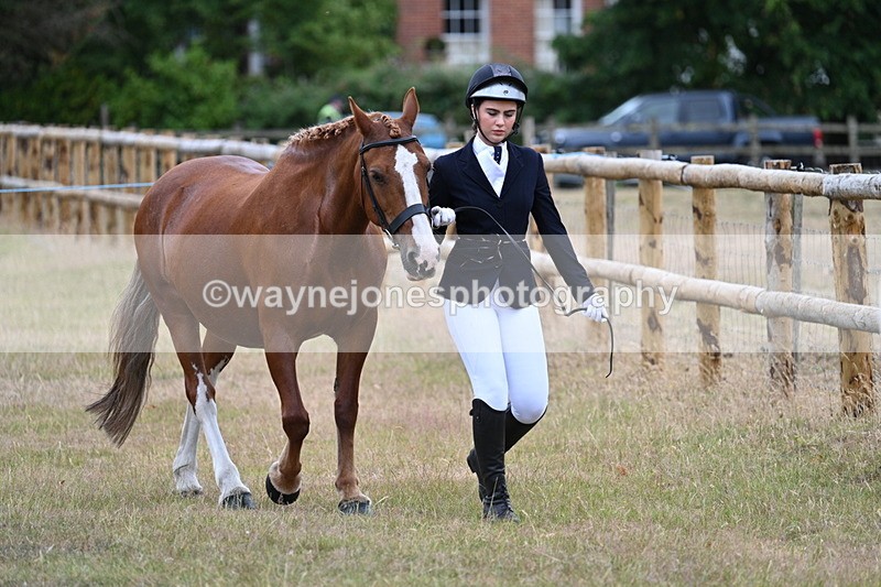 WJ7_9038 - Class 4a Prettiest Mare 14.2hh and over