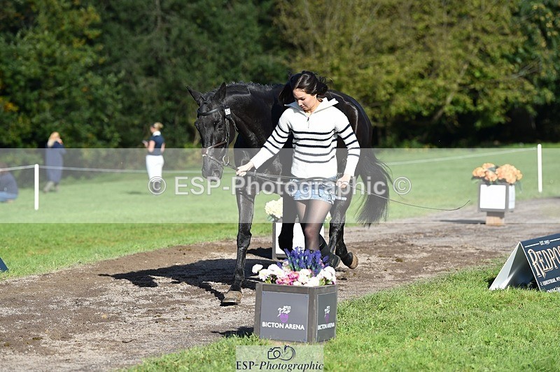 231022-112100-23903 - 563-SOUTHPAW-Kaia.Land-TrotUp+SJ