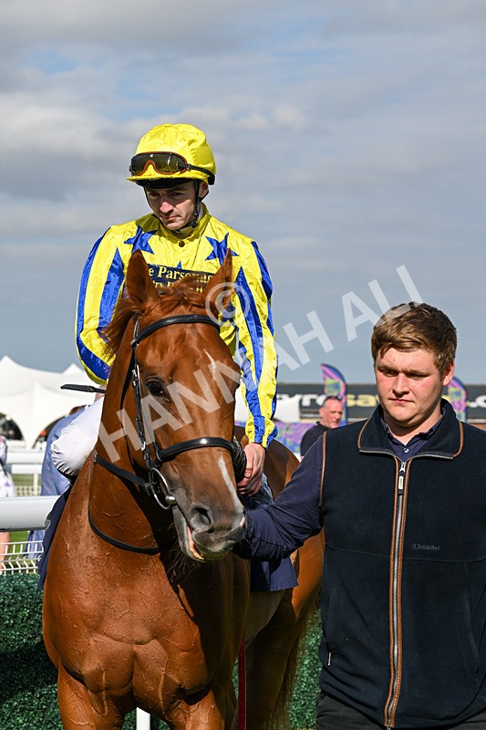 140824-Race 6-Glistening Nights-6935 - Race 6