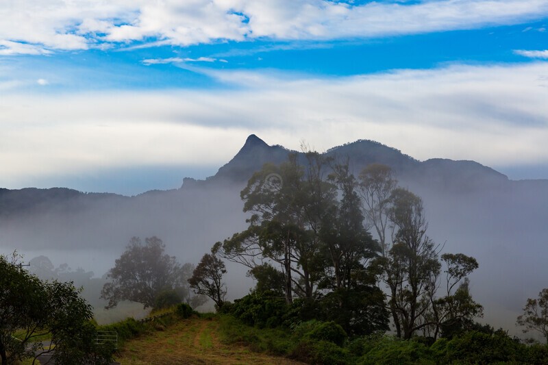 Mt Warning from old Tyalgum tip site park 1 - Mt Warning