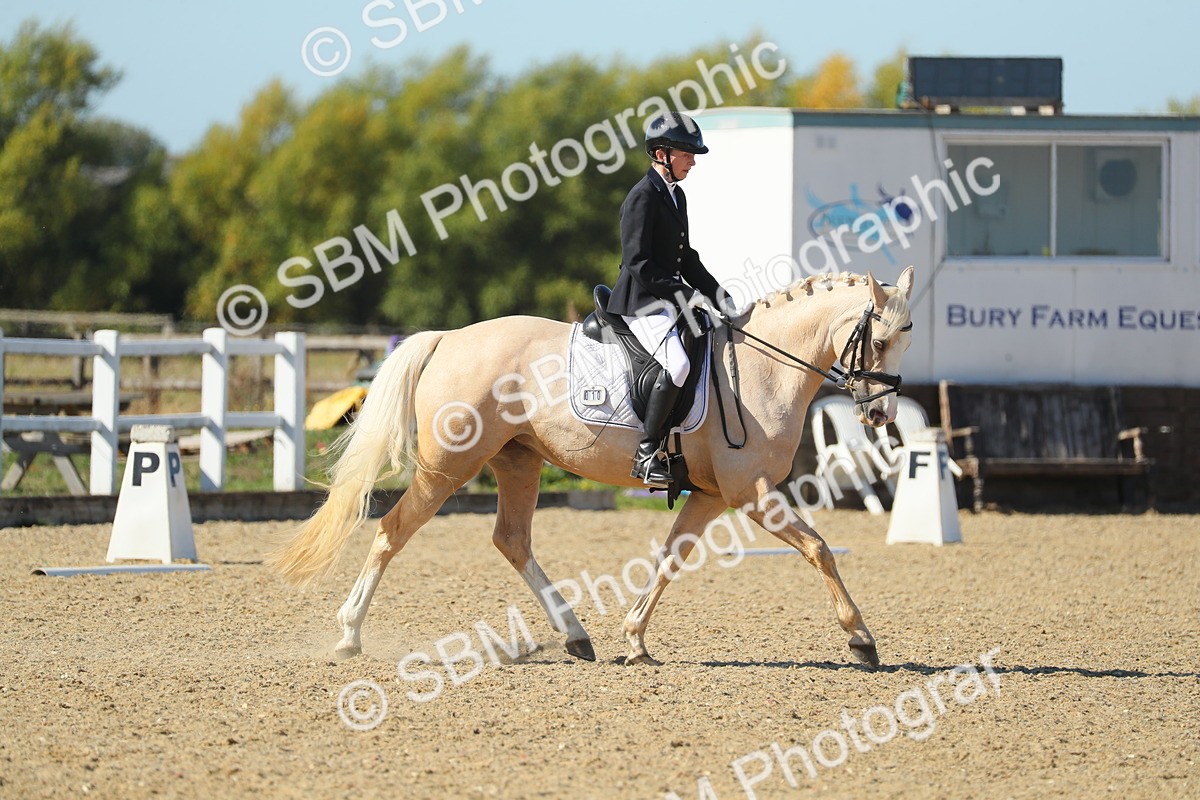 SBM_001354 - Class 5 - N5