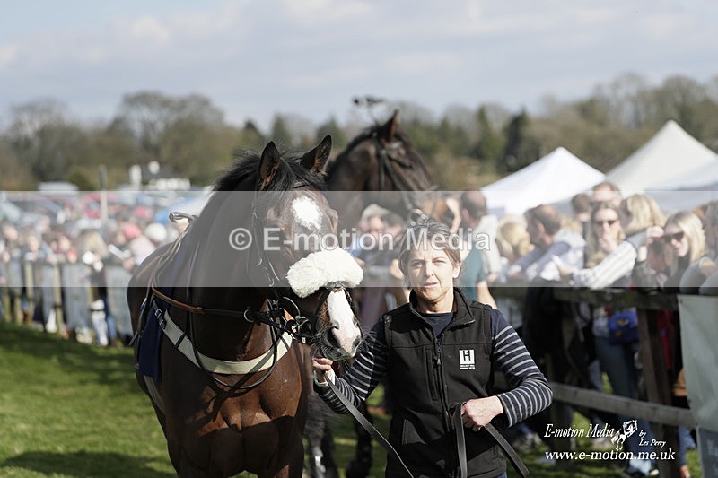 PtP 080423 691 - Dingley Races The Woodland Pytchley Hunt PtP 08/04/23