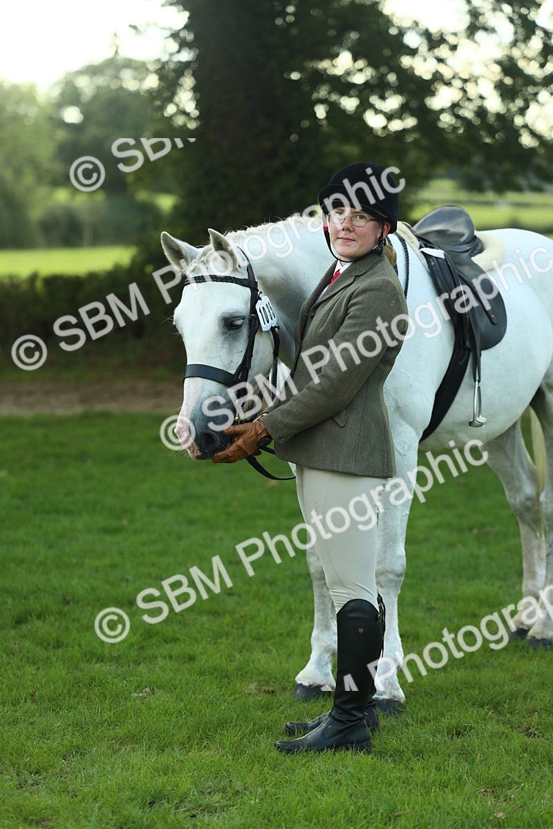 SBM_50732 - S33 - Working Hunter & Working Show Horse
