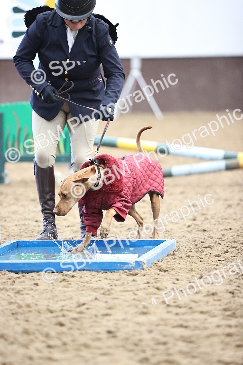 SBM_001476 - Class 3 - Horse & Hound 60cm