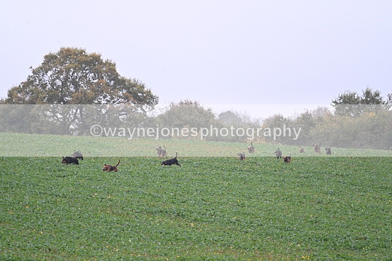 WJ7_8877 - Camera 1 only on this line