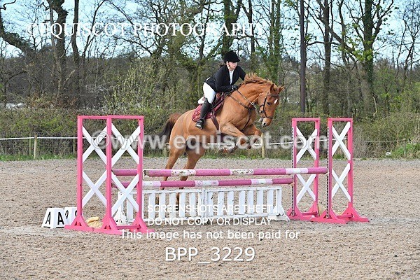 BPP_3229 - CLASS 3 BritiNovice/ 90cm Open