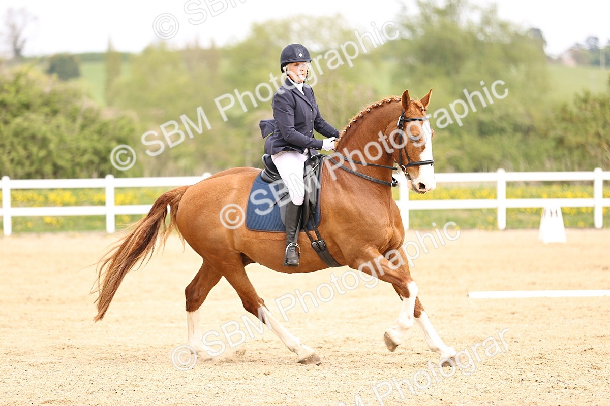 SBM_007451 - Class 5 - P3