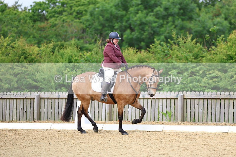 3E7A9128 - Class 2: Intro 1 2024 Section B