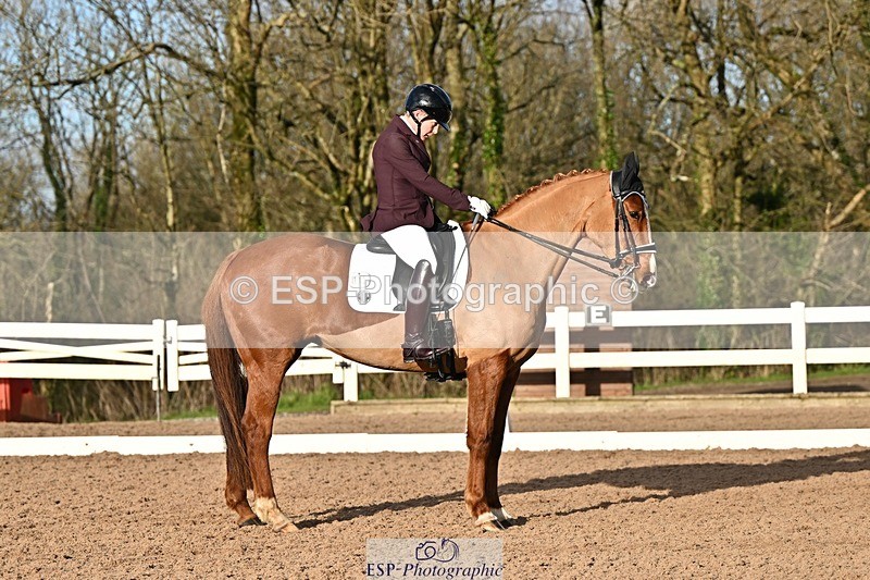 241214-134319-02555 - 112-kelly.jewell-Avalon