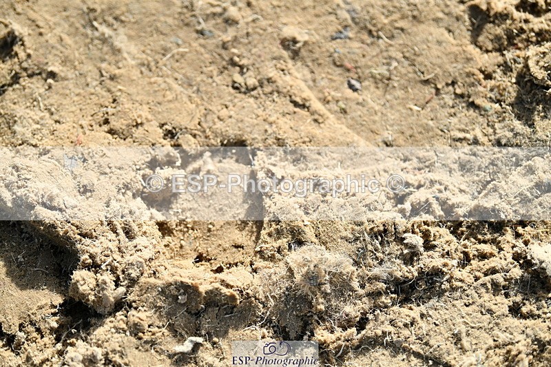 251004A-154439-01962 - Classes 8 & 9 70cm