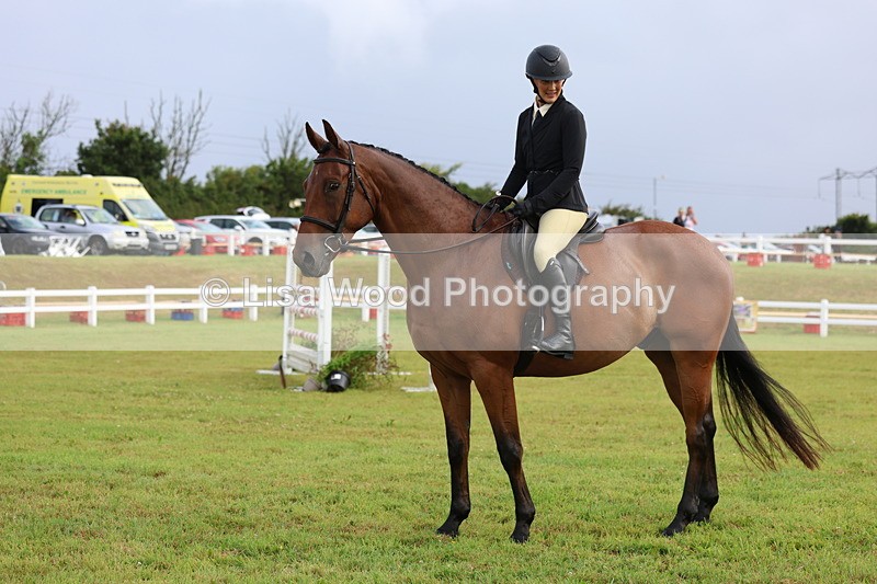 3E7A8120 - Class 2: Rising Star Large Hack/Riding Horse