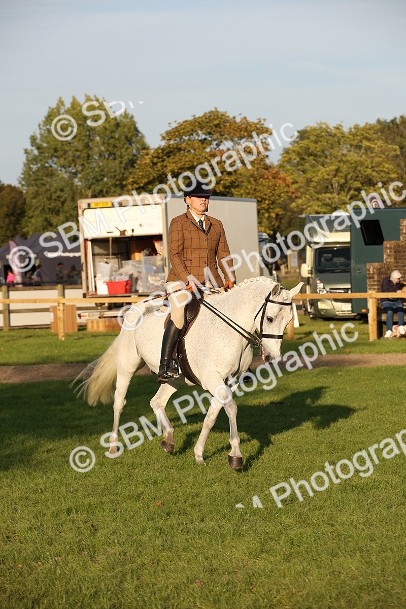 SBM_54436 - S27 - Mature Veteran - Ridden