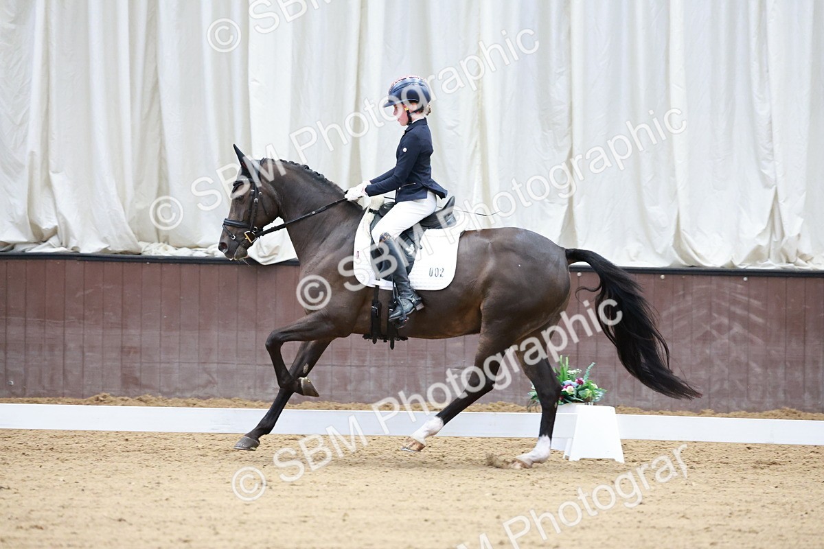 SBM_017118 - Class15 - FEI Pony