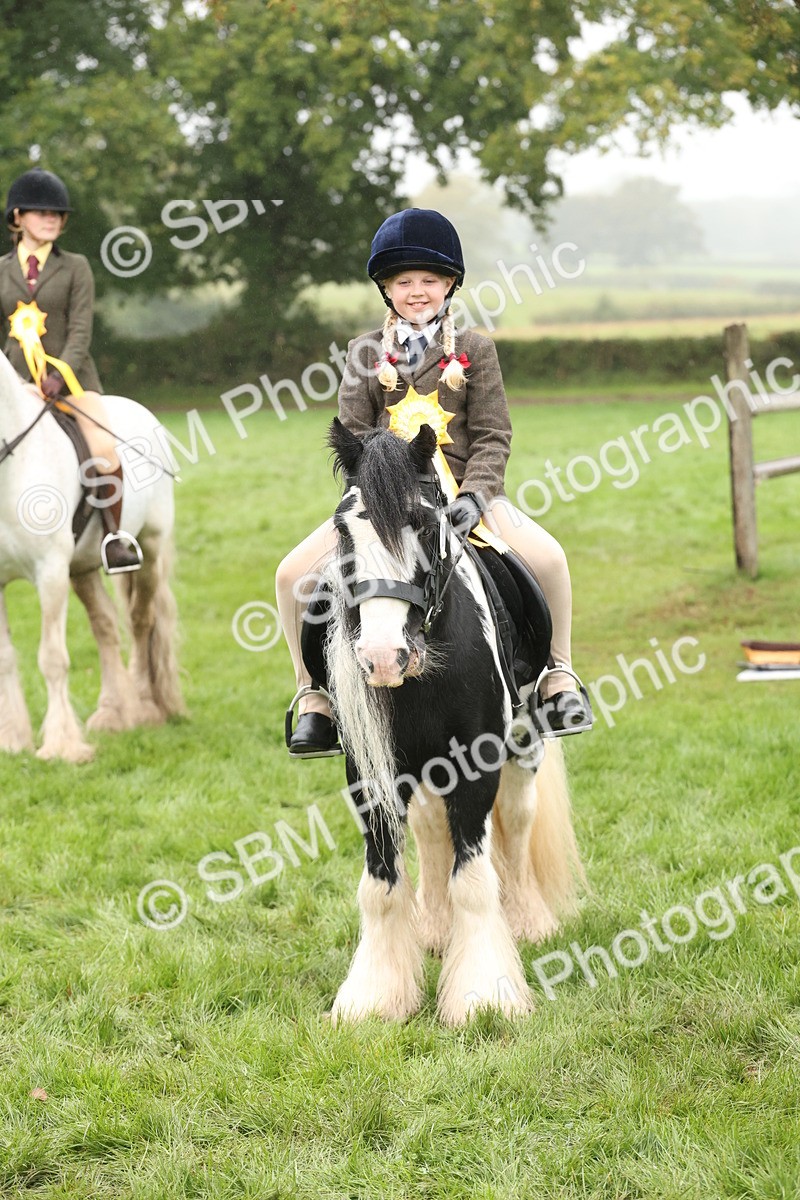 SBM_72863 - S70 - Traditional Cob Ridden