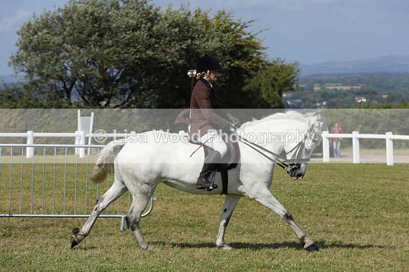 1X9A5921 - Class 41:. NPS New Forest & Connemara