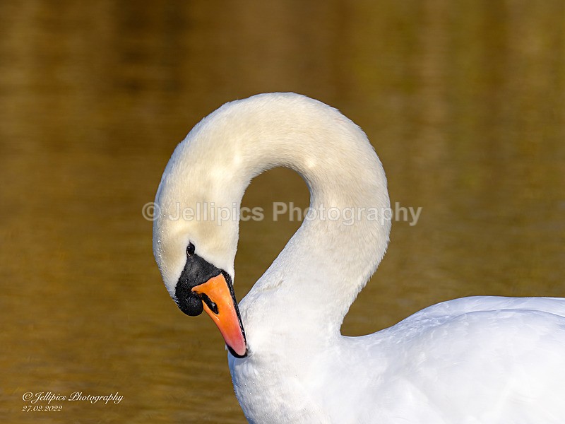  - Wildlife and Nature