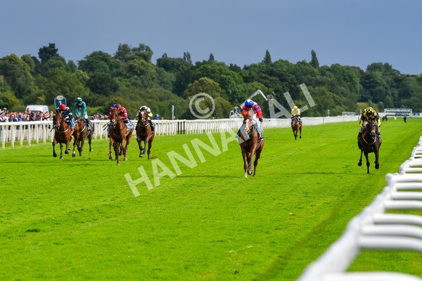 150723-Race 6-Robert Johnson-8808 - Race 6 4.55pm John Smith's Stayers' Handicap