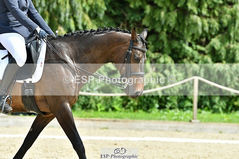 230623-142817-00979 - Cls 5 Elementary 43