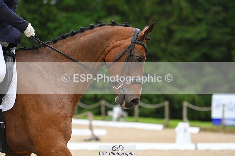 230813-171535-08614 - Cls 14 Medium Silver 16.45 to End