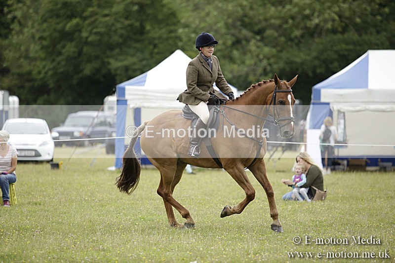 BVR160717-824 - Ring 1 BVRC Show 16/07/17