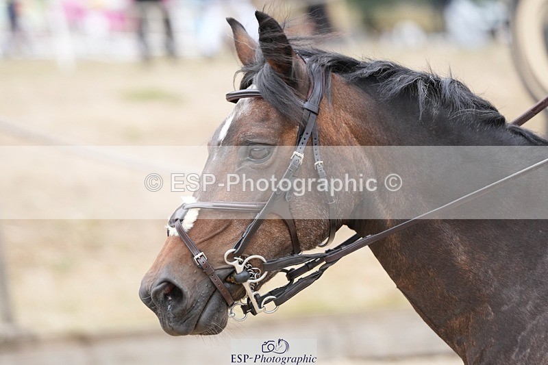 250820A-115520-06163 - Round 2, 11.45 to 12.30 End