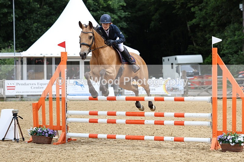 3E7A6204 - Class 4: Senior British Novice/90cm open