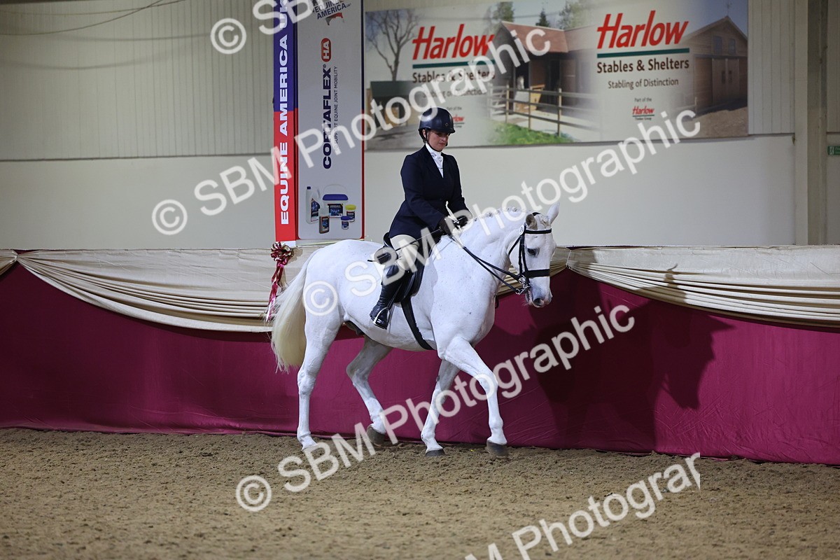 0B8A4442 - Class O Ridden Show Horse Champ