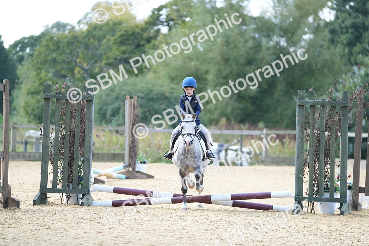 SBM_64603 - J2 - Mini Tour Junior Pony 30cm Championship