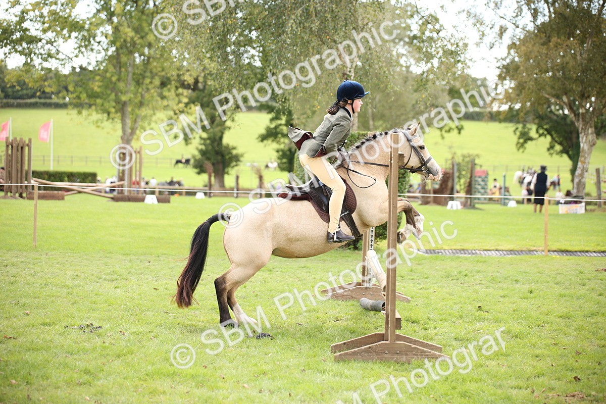 SBM_42304 - S13 - Pony Club Pony