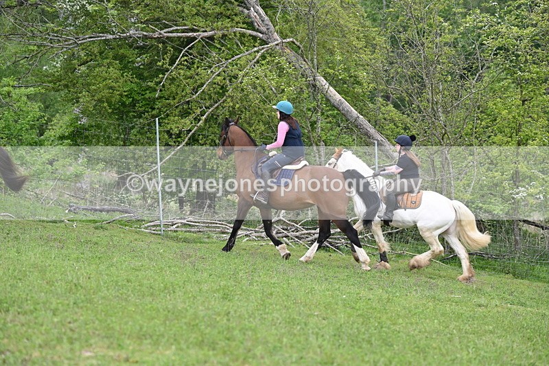 WJ6_3237 - A camera