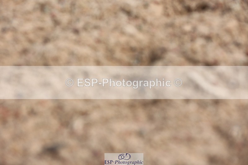 250620-100800-00379 - BD Cls 6 - Freestyle Novice