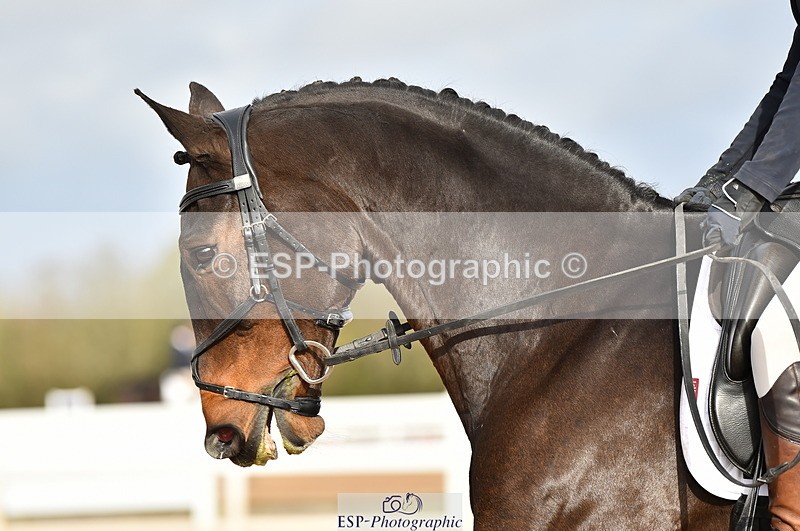 231104A-112642-01540 - Cls 5 Novice 37A