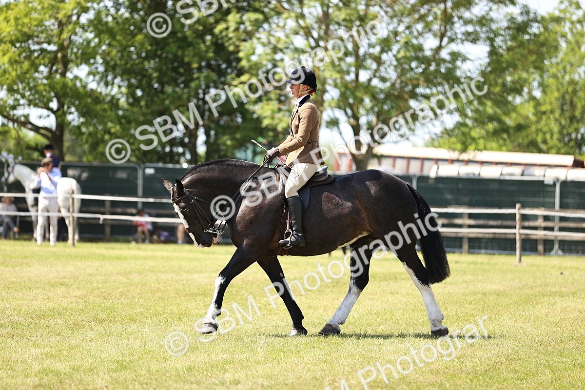 SBM_17856 - Class 81-83 - TSR Ridden Amateur of the Year - Horses