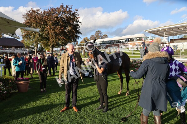 yr07102022r6-38 - Race 6 5.00pm William Hill Lengthen Your Odds EBF Novice Stakes