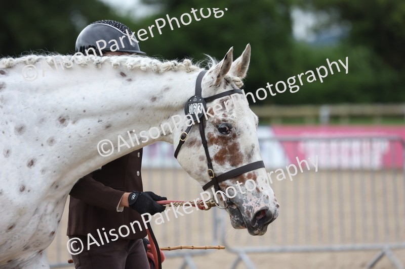 20250524-0116 - Class 2 - Youngstock