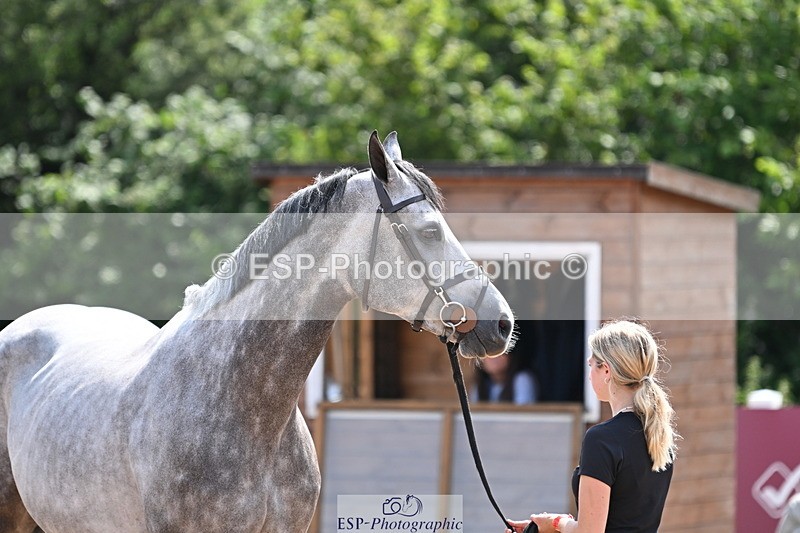 240717A-150835-02576 - Trot Up 3pm to 4pm