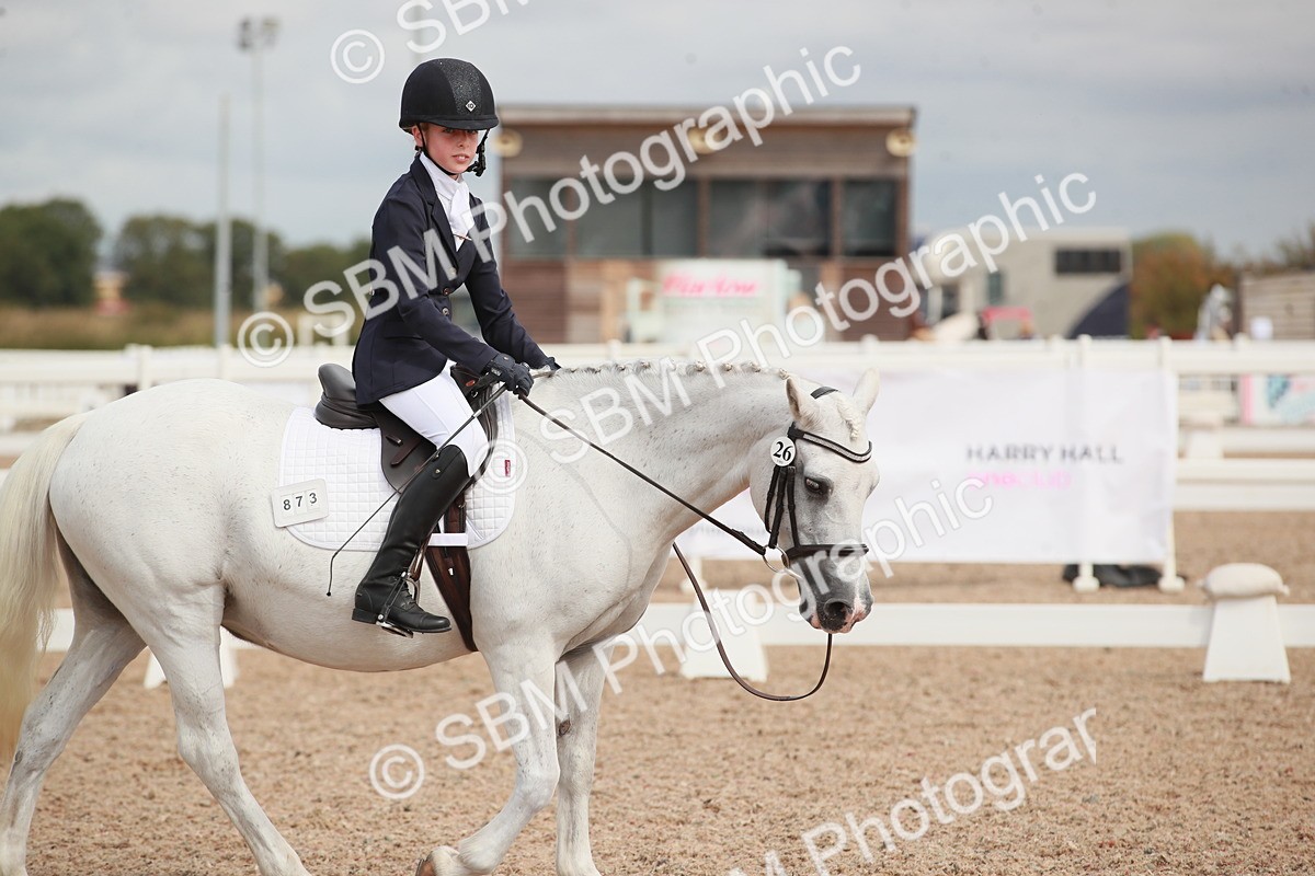 SBM_03995 - Class 31 - Prelim 1