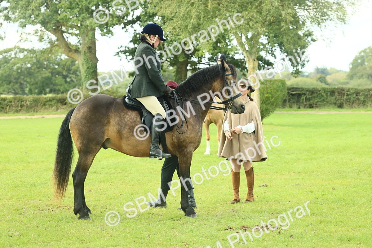 SBM_62624 - S63 - Other Coloured Horse Ridden