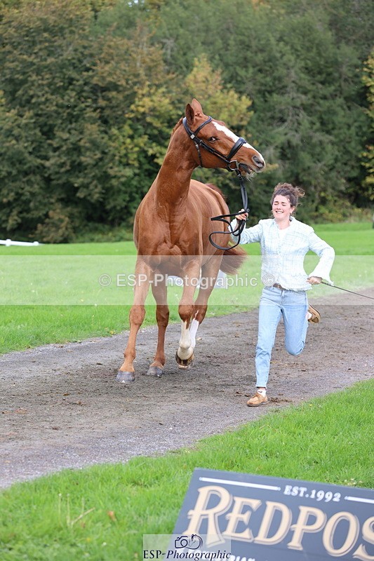 251026A-115303-25739 - G-560-Josie.Dix