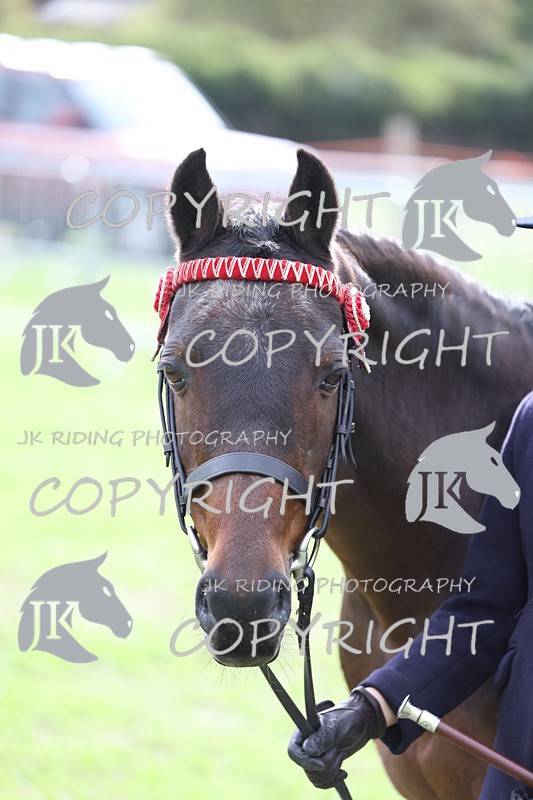 APP_2615 - Class 9 Veterans in hand