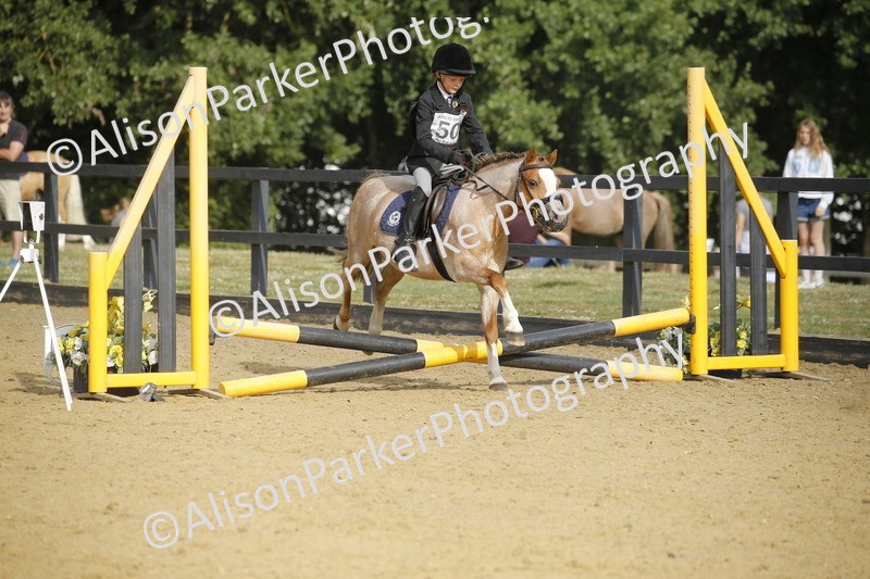 20250622-1241 - 40cm