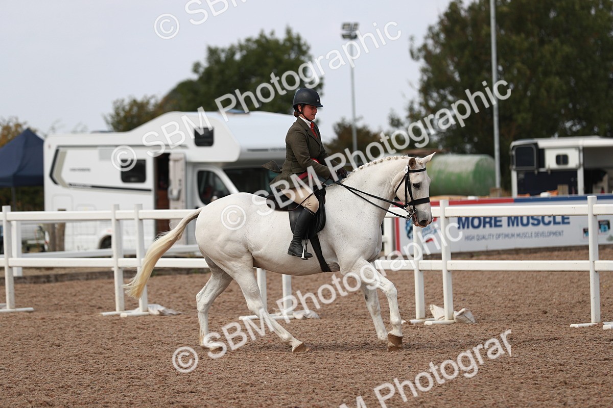 SBM_14930 - Class 212 Ridden Hunter - Small